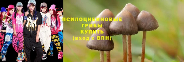 соль курить ск Арсеньев