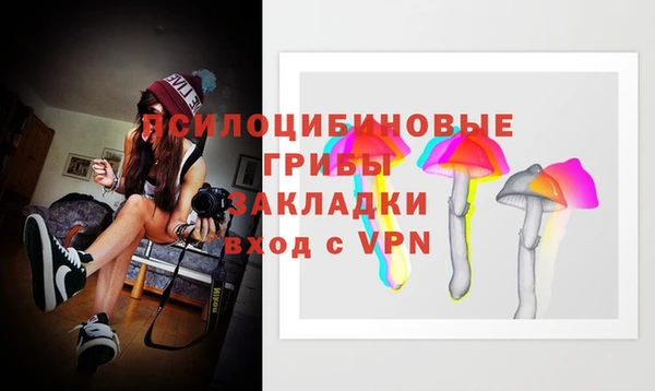 apvp Аркадак