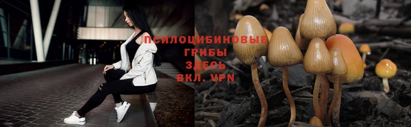 apvp Аркадак