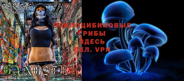 соль курить ск Арсеньев