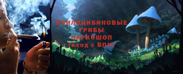 МДПВ Россошь