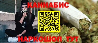 СК Холмск