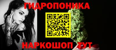 СК Холмск