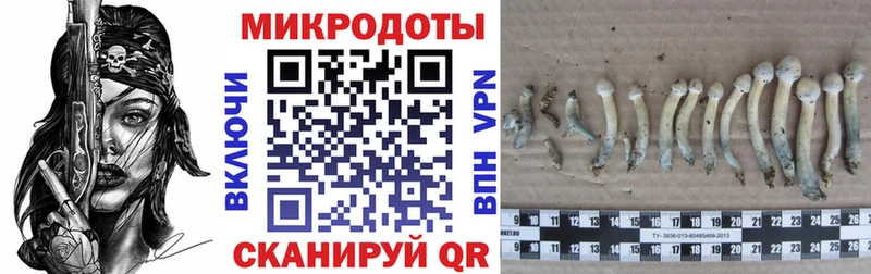 Галлюциногенные грибы ЛСД  ОМГ ОМГ ТОР  сайты даркнета формула  Кирово-Чепецк 