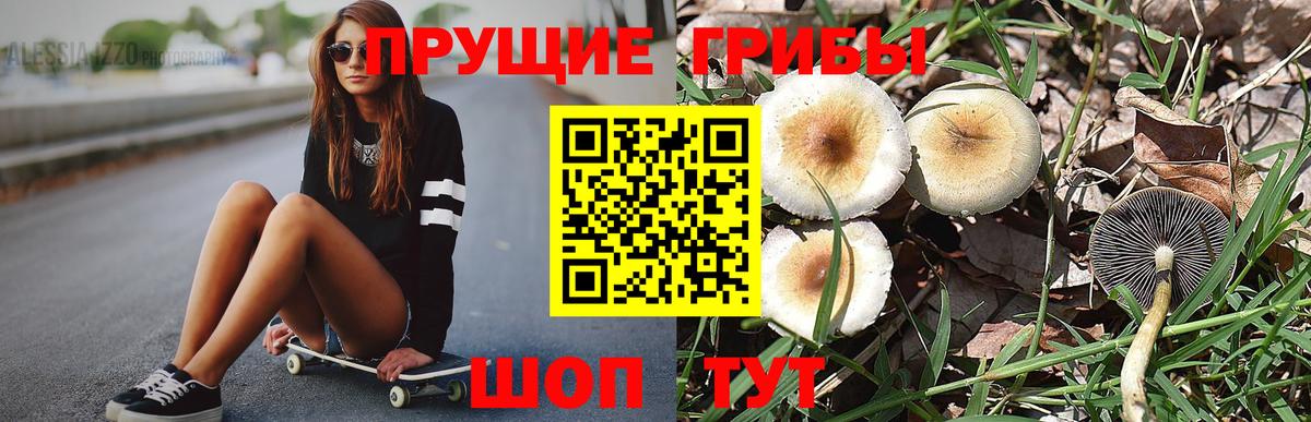 Псилоцибиновые грибы Cubensis  Галлюциногенные грибы Psilocybe  Вход с VPN  Кирово-Чепецк 