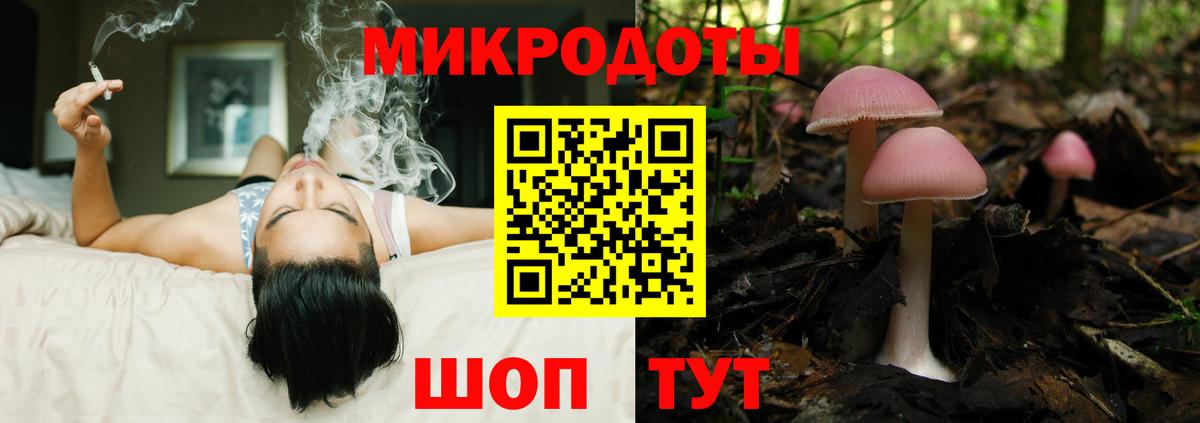Псилоцибиновые грибы мухоморы Кирово-Чепецк